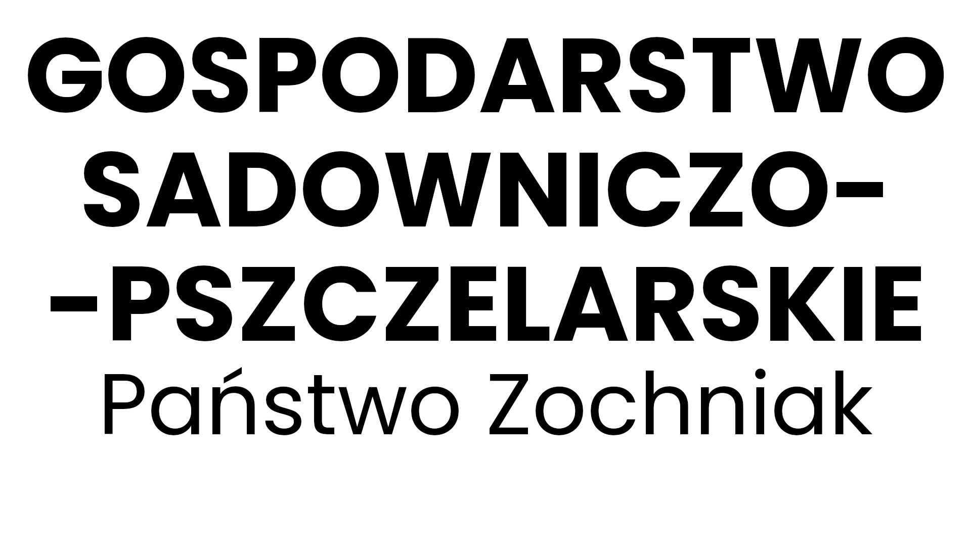 Zochniak